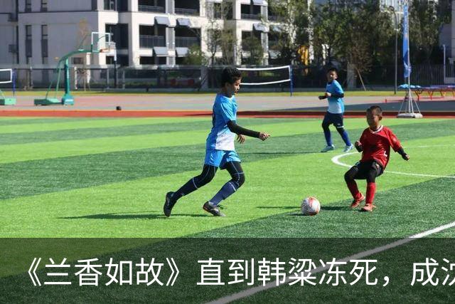 《兰香如故》直到韩粱冻死，成沈其翰2.0才知，他和林锦岐差在哪