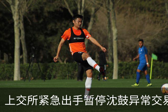 上交所紧急出手暂停沈鼓异常交易背后