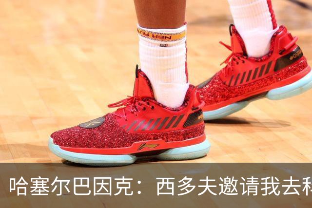 哈塞尔巴因克：西多夫邀请我去科林蒂安担任助教，但我还需要考虑