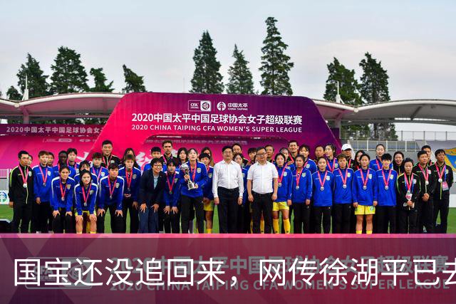 国宝还没追回来，网传徐湖平已去世：值！坐牢一个月，豪赚8800万