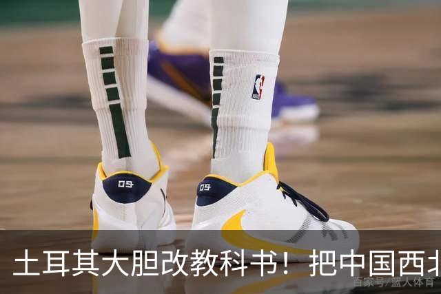 土耳其大胆改教科书！把中国西北划入突厥世界，野心藏得太深了