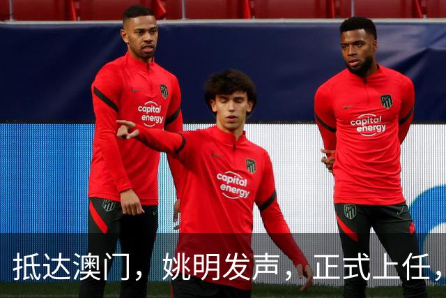 抵达澳门，姚明发声，正式上任，新岗位曝光，联手昔日队友
