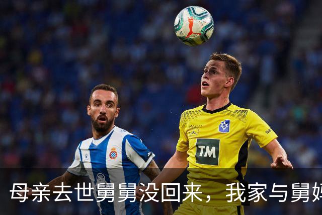 母亲去世舅舅没回来，我家与舅妈家断绝来往，弟弟打电话她泪奔
