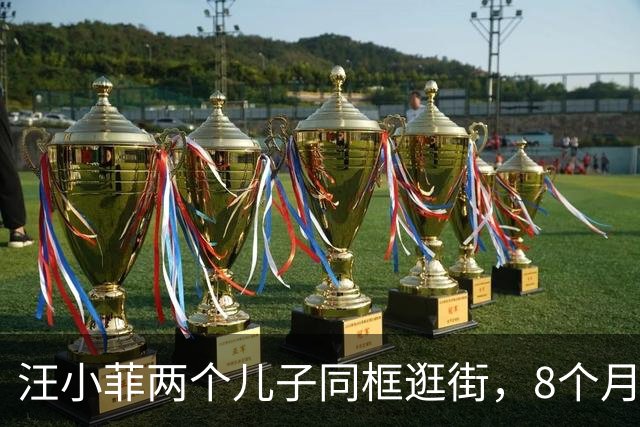 汪小菲两个儿子同框逛街，8个月小儿子壮实可爱，10岁霖霖1米6多了！