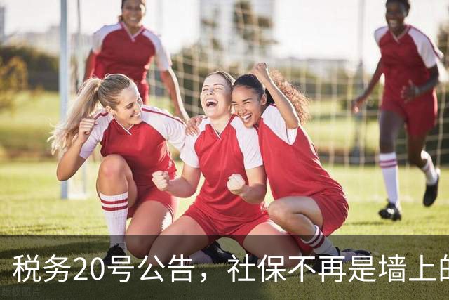 税务20号公告，社保不再是墙上的刀，三方博弈，最后落到每个人