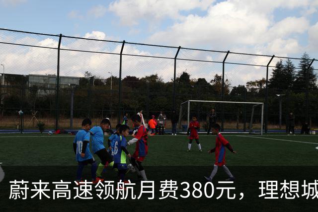 蔚来高速领航月费380元，理想城区NOA却全免费，车主怎么选？