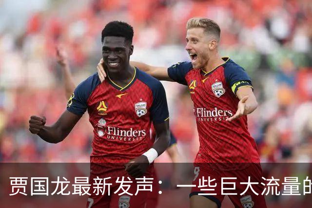 贾国龙最新发声：一些巨大流量的账号，在互联网上煽动舆论、挂人引战