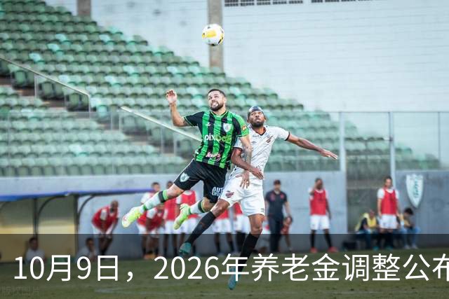 10月9日，2026年养老金调整公布了吗？说句很现实的情况，来看看