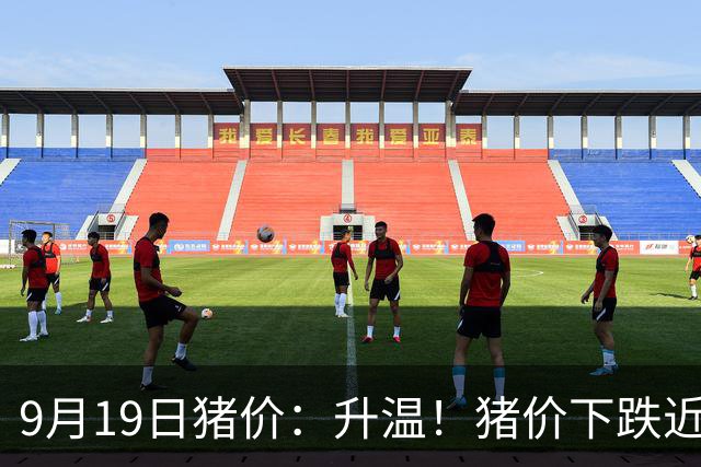 9月19日猪价：升温！猪价下跌近乎“熄火”，南北多地“雷霆”上涨！发生了啥？